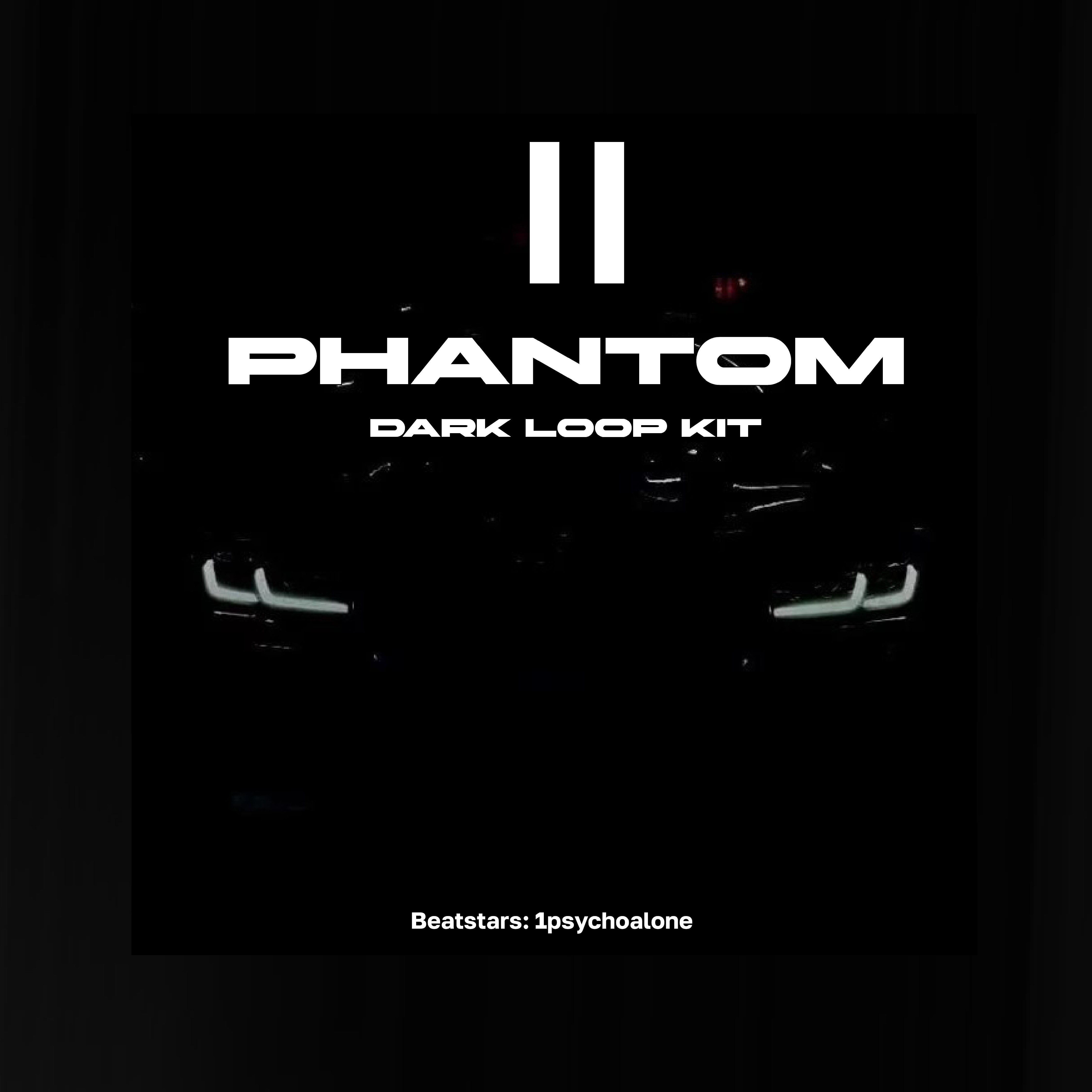 Phantom II loop kit cover